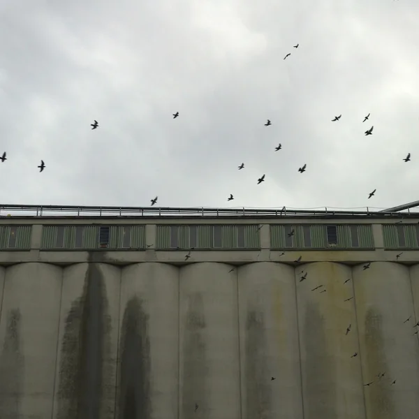 Fábrica oscura — Foto de Stock