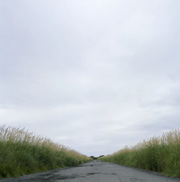 Route — Photo