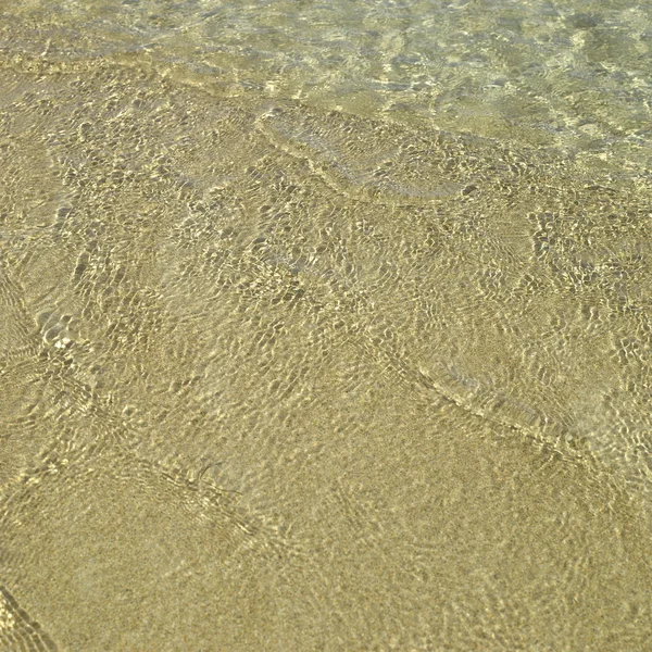 Klart gröna havet vatten — Stockfoto