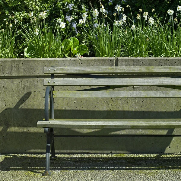 公園ベンチ — ストック写真
