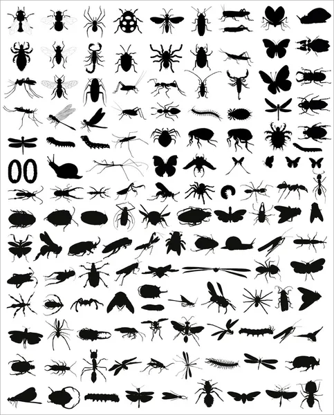 Big collection of 133 different vector insects silhouettes — Stock Vector