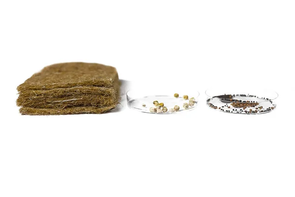 Micro greens seeds in petri dishes and jute microgreens grow mats on white background. Selective focus. Copy space.