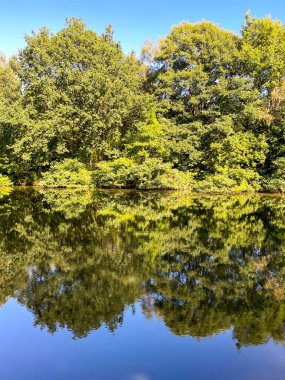 Ağaçlar gölün durgun sularına yansıyor. Kimse yok..