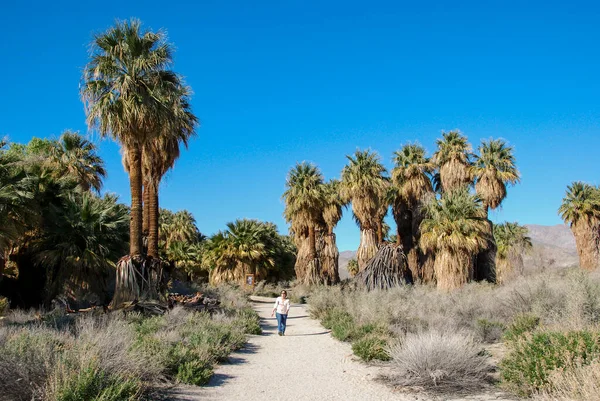 Palm Springs California Febrero 2017 Persona Que Camina Junto Altas — Foto de Stock