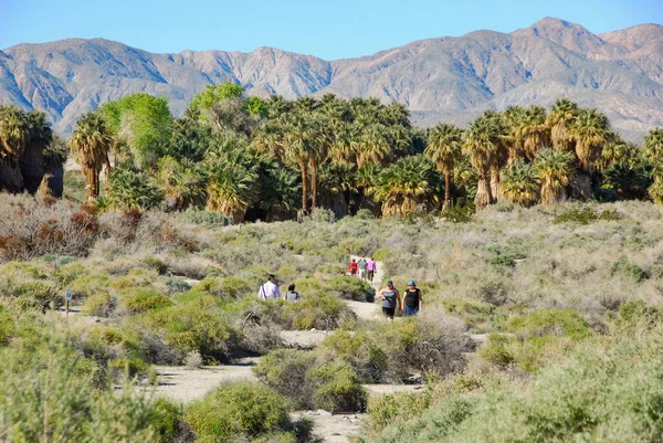 Palm Springs California Febrero 2017 Personas Caminando Por Uno Los — Foto de Stock