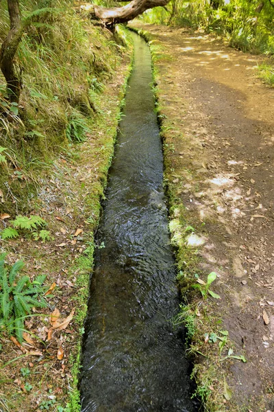 One Many Levada Walks Mountains Madeira Portugal Levada Water Channel — Stock Photo, Image