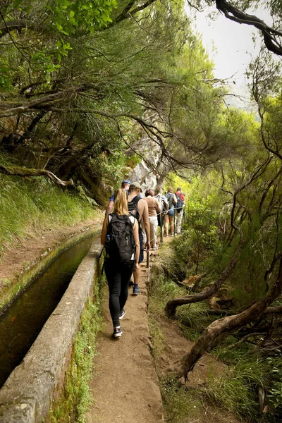 Madeira Portugal Febrero 2016 Gente Caminando Una Las Muchas Levadas — Foto de Stock