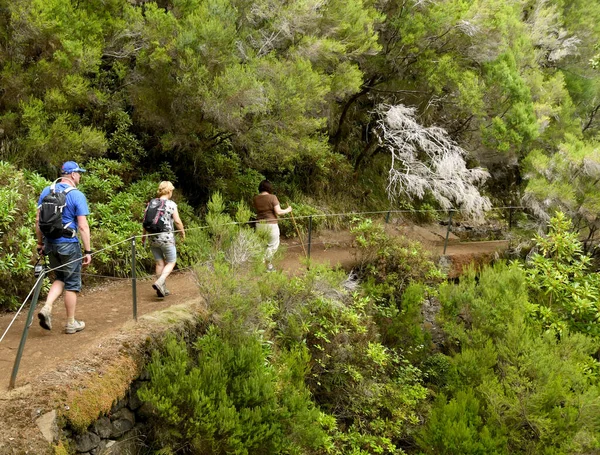Madeira Portugal Febrero 2016 Persona Caminando Una Las Muchas Levadas — Foto de Stock