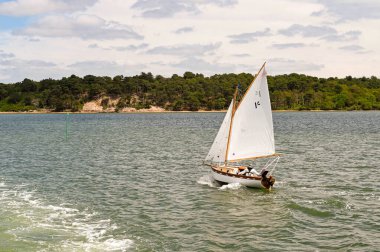 Poole Limanı, Dorset, İngiltere - Haziran 2021: Poole Limanı 'nın sakin sularında küçük yelkenli tekne.