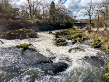 Cenarth Falls, Galler - Mart 2022: Teifi Nehri üzerindeki Cenarth Falls 'un manzarası.