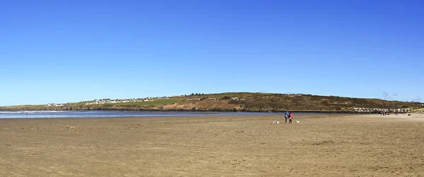 セント ドガメルス カーディガン ウェールズ 2022年3月 干潮時にセント ドガメルスのカーディガン近くのビーチで犬を歩く人々のパノラマビュー — ストック写真
