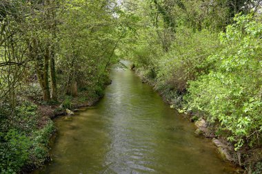 Asılan ağaçlardan oluşan bir tünelden akan küçük bir nehir. Kimse yok.. 