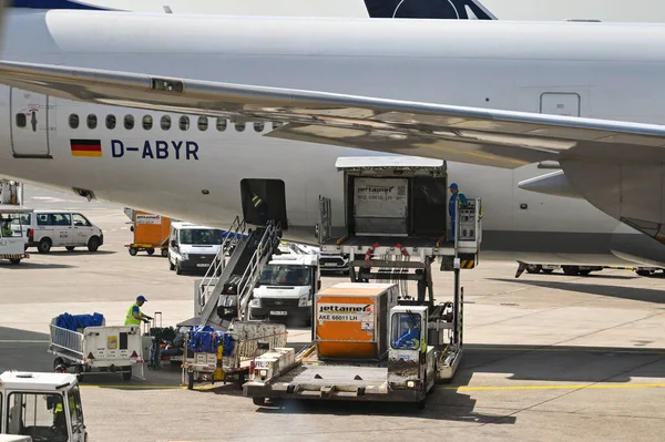 Φρανκφούρτη Γερμανία Απρίλιος 2022 Εκφόρτωση Αεροπορικού Φορτίου Και Αποσκευών Στο — Φωτογραφία Αρχείου