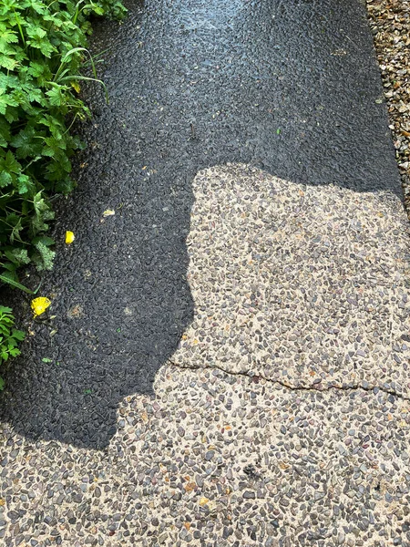 Garden Path Pressure Washing Showing Difference Cleaned Original Areas People — Stockfoto