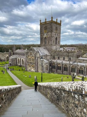 St David 's, Pembrokeshire, Galler - Mart 2022: Batı Galler' deki St. David Katedrali 'nin dış görünümü.