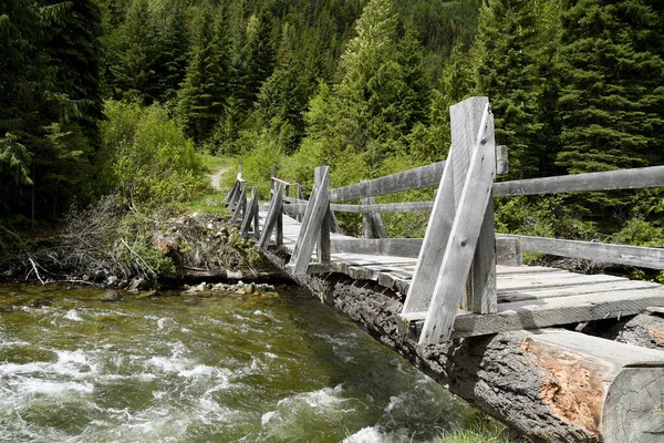 Bridge Made Felled Timber Small River Canada Clear Water Path — Stockfoto