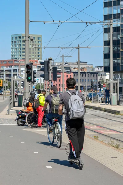 Antwerp Belgium August 2022 Person Riding Electric Scooter Road Ity — 스톡 사진