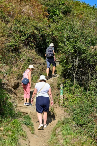 Newport Pembrokeshire Gales Agosto 2022 Gente Caminando Por Sendero Costero — Foto de Stock