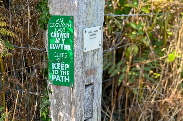 Newport Pembrokeshire Wales August 2022 Close View Bilingual Sign Wales — Stock Photo, Image