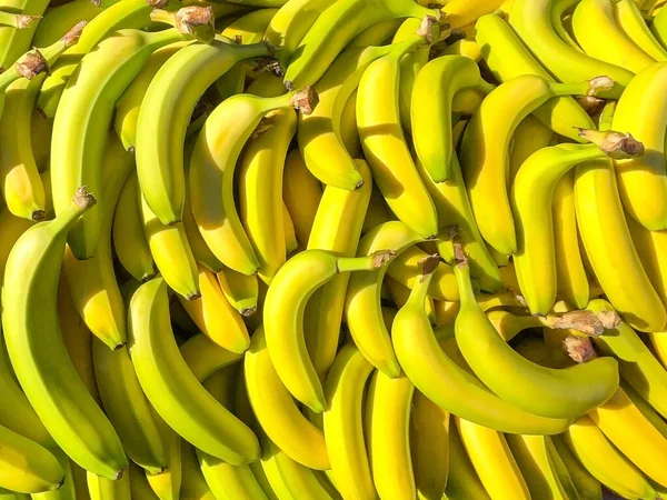 Bandeja Bananas Frescas Exposição Mercado Agricultor Não Pessoas — Fotografia de Stock