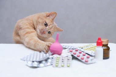 Kızıl saçlı bir kedi bir yığın ilacın önünde oturuyor ve plastik bir tıbbi lavmanla oynuyor. Hayvan tedavisi kavramı.