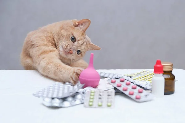 Eine Rothaarige Katze Sitzt Vor Einem Stapel Medikamente Und Spielt Stockbild