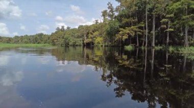 Yazın sonlarında Florida, Palmdale yakınlarındaki Fisheating Creek 'te kayak yaparken..