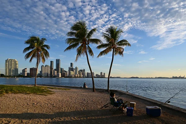 Pescadores bajo palmeras en Rickenbacker Calzada con horizonte de Miami en el fondo. —  Fotos de Stock