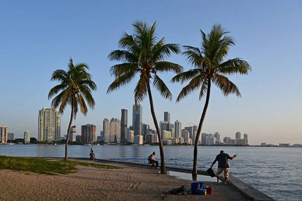 Pescadores bajo palmeras en Rickenbacker Calzada con horizonte de Miami en el fondo. —  Fotos de Stock