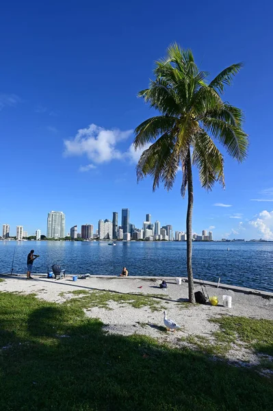 Fishermen under palm trees on Rickenbacker Causeway with Miami in background. — Stock Photo, Image