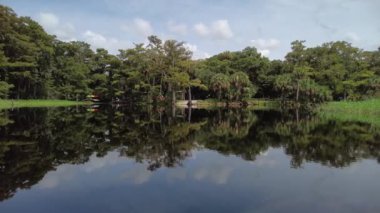 Yazın sonlarında Florida, Palmdale yakınlarındaki Fisheating Creek 'te kayak yaparken..