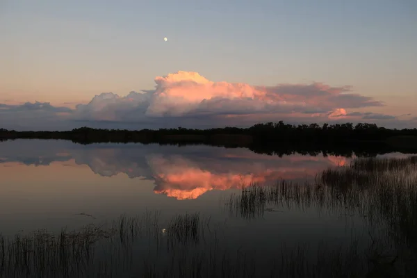 Lever de lune sur des nuages d'automne colorés sur l'étang Nine Mile dans les Everglades. — Photo