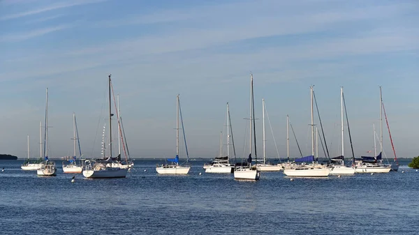Sailboats moored off Crandon Park and marina on sunny autumn morning. — Stock Photo, Image