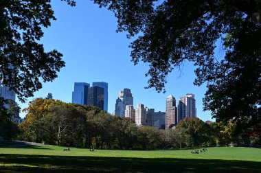 New York 'taki Central Park' ın arka planında sonbahar yaprakları ve gökdelenler var..