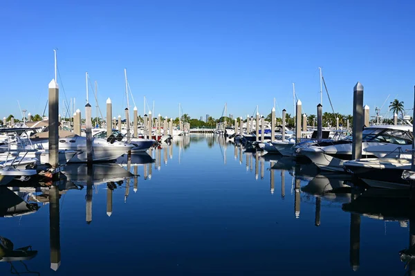 Florida Key Biscayne 'deki yat limanına sabahın erken saatlerinde yanaştılar.. — Stok fotoğraf