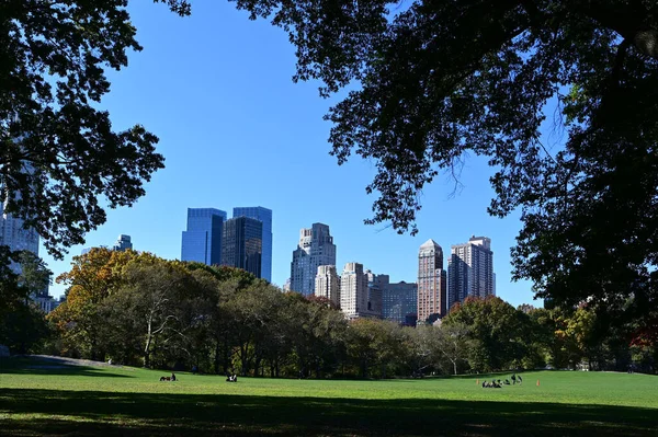 Central Park in New York mit Herbstlaub und Wolkenkratzern im Hintergrund. — Stockfoto