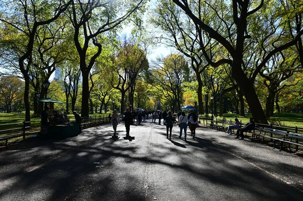 Mensen lopen onder herfstbladeren in Central Park in New York City. — Stockfoto