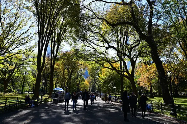 न्यूयॉर्क शहर में सेंट्रल पार्क में शरद ऋतु पत्तियों के नीचे चलने वाले लोग . — स्टॉक फ़ोटो, इमेज