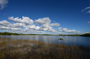 Everglades Ulusal Parkı, Florida 'daki Nine Mile Pond' da iki kanocu..