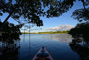 Everglades Ulusal Parkı 'ndaki Nine Mile Pond' da sonbahar kanosu, Florida.