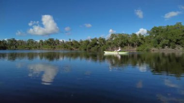 Everglades 'teki Coot Bay Pond' da güneşli, sakin kış öğleden sonra 4K 'da kayak yaparken..