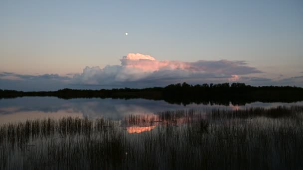 Timelapse av månuppgång över färgglada moln på nio Mile Pond i Everglades 4K. — Stockvideo