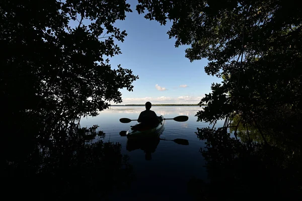 Kayaker sênior ativo silhueta contra o céu azul sob dossel de mangue. — Fotografia de Stock