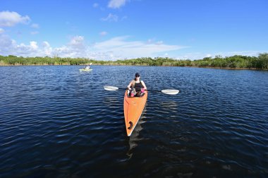 Everglades Ulusal Parkı 'ndaki Nine Mile Pond' da kayak yapan genç bir kadın..