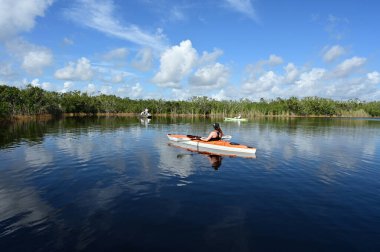 Everglades Ulusal Parkı 'ndaki Nine Mile Pond' da kayak yapan genç bir kadın..