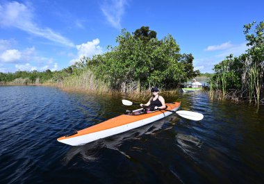 Everglades Ulusal Parkı 'ndaki Nine Mile Pond' da kayak yapan genç bir kadın..