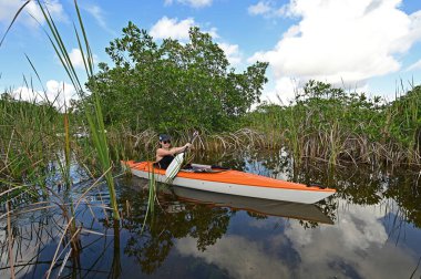 Everglades Ulusal Parkı 'ndaki Nine Mile Pond' da kayak yapan genç bir kadın..