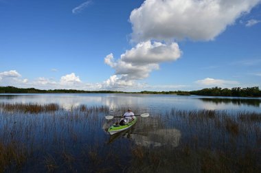Everglades Ulusal Parkı, Florida 'daki Nine Mile Pond' da aktif son sınıf kanosu..