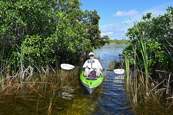 フロリダ州エバーグレーズ国立公園の9マイル池でアクティブなシニアカヤック. — ストック写真