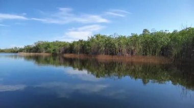 Everglades Ulusal Parkı 'ndaki Nine Mile Pond' da öğleden sonra kano, Florida 4K.